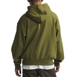 The North Face Men's Evolution Vintage Hoodie